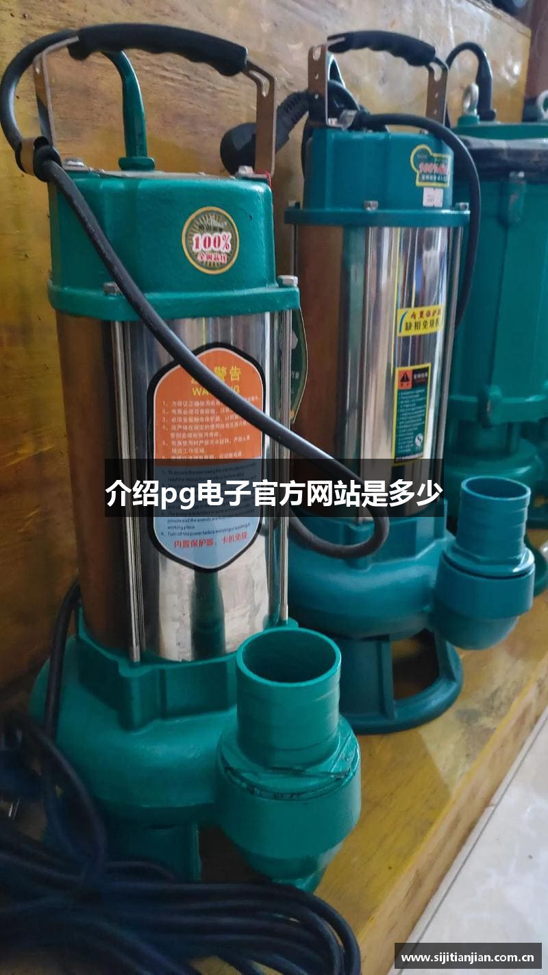 介绍pg电子官方网站是多少